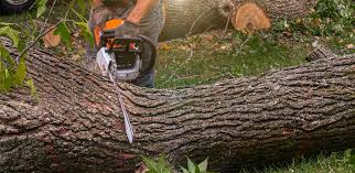 Lawn Irrigation Installation and Maintenance in Oak Park Heights, MN